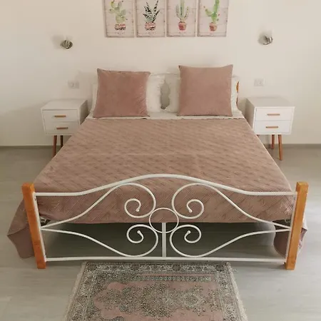 Alisso 3* Ольбія