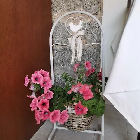 Alisso オルビア