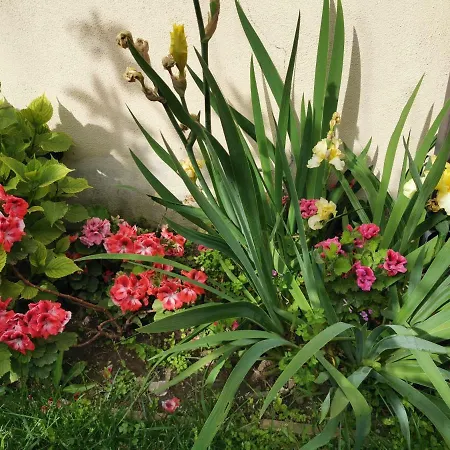 Bed and breakfast Alisso 3*